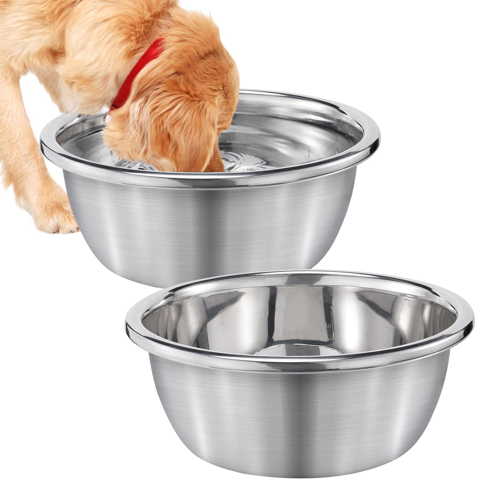 Bol MEWTOGO en acier inoxydable, grande capacité pour eau partagée entre chiens.