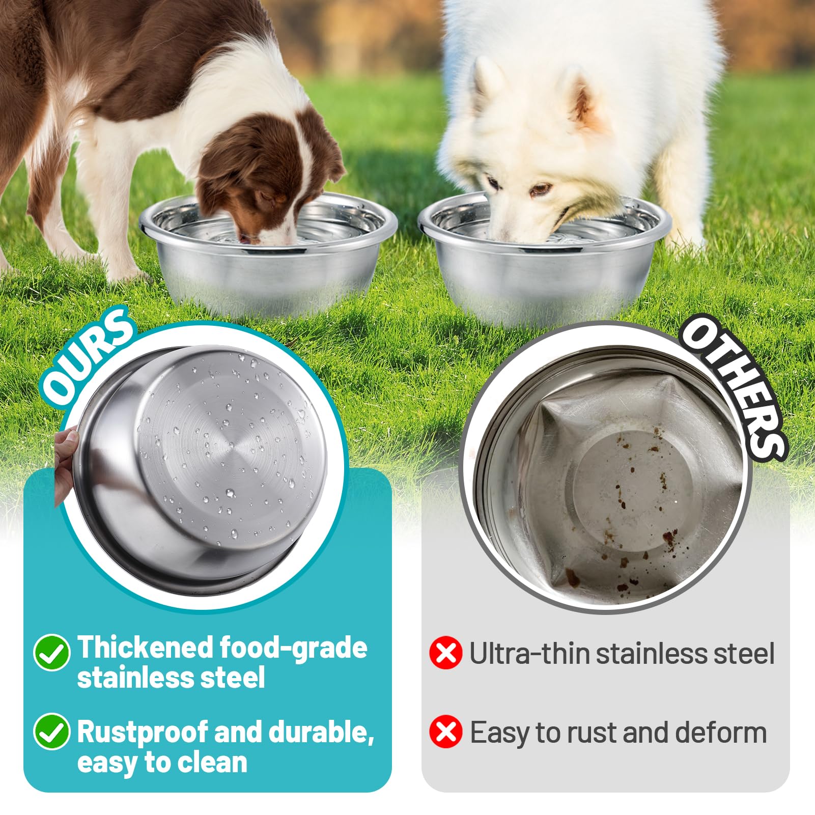 Bol MEWTOGO avec ouverture large pour boire à deux chiens.