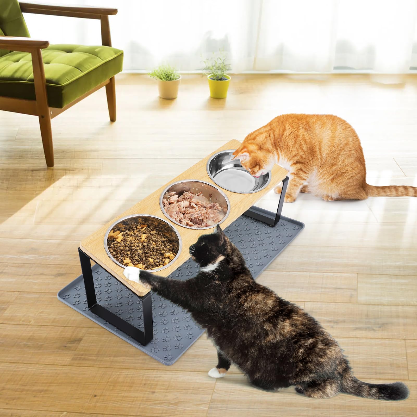 MEWTOGO ensemble convient chats d interieur et petits animaux