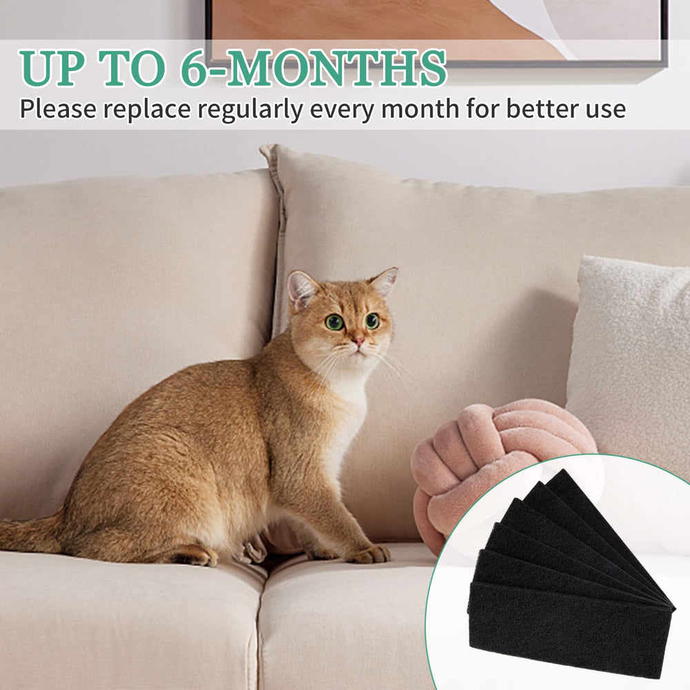 Installation facile du filtre MEWTOGO sans outils pour le chat.
