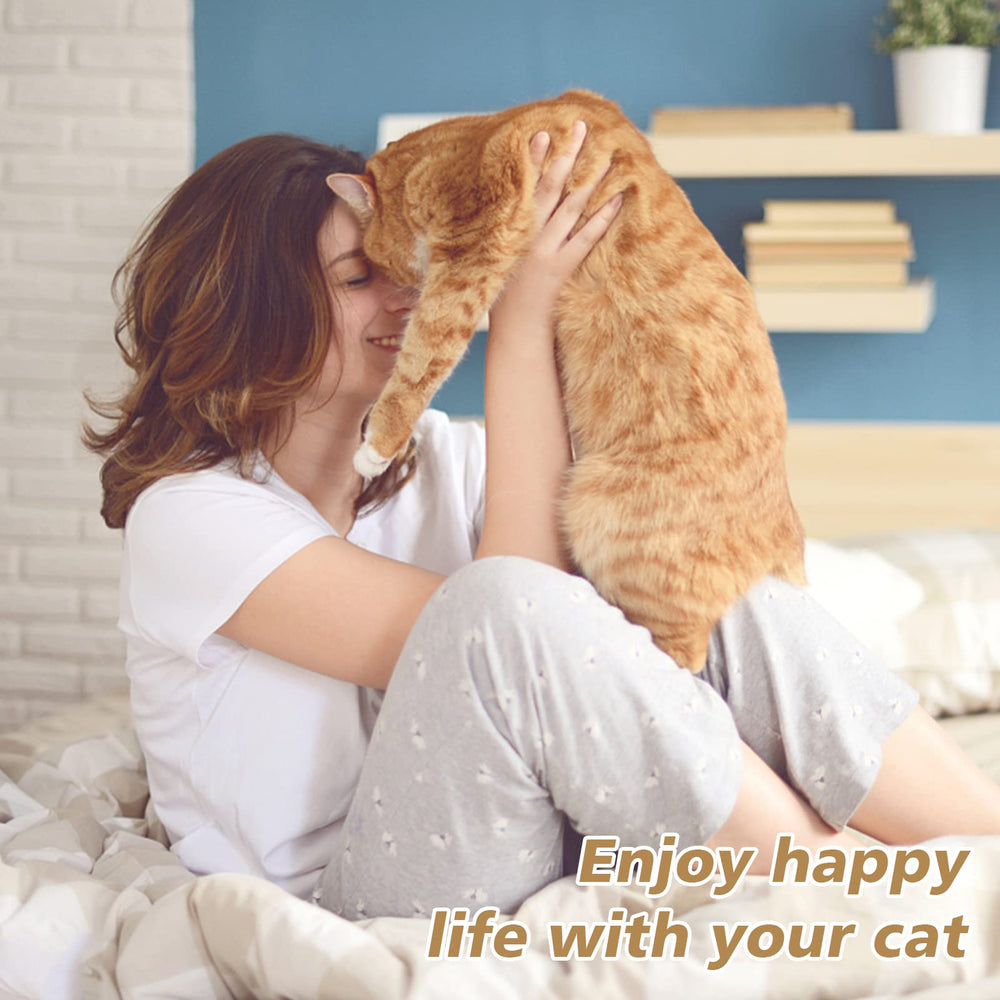 Compatibilité Petmate et entrée haute, vérifiez votre modèle.