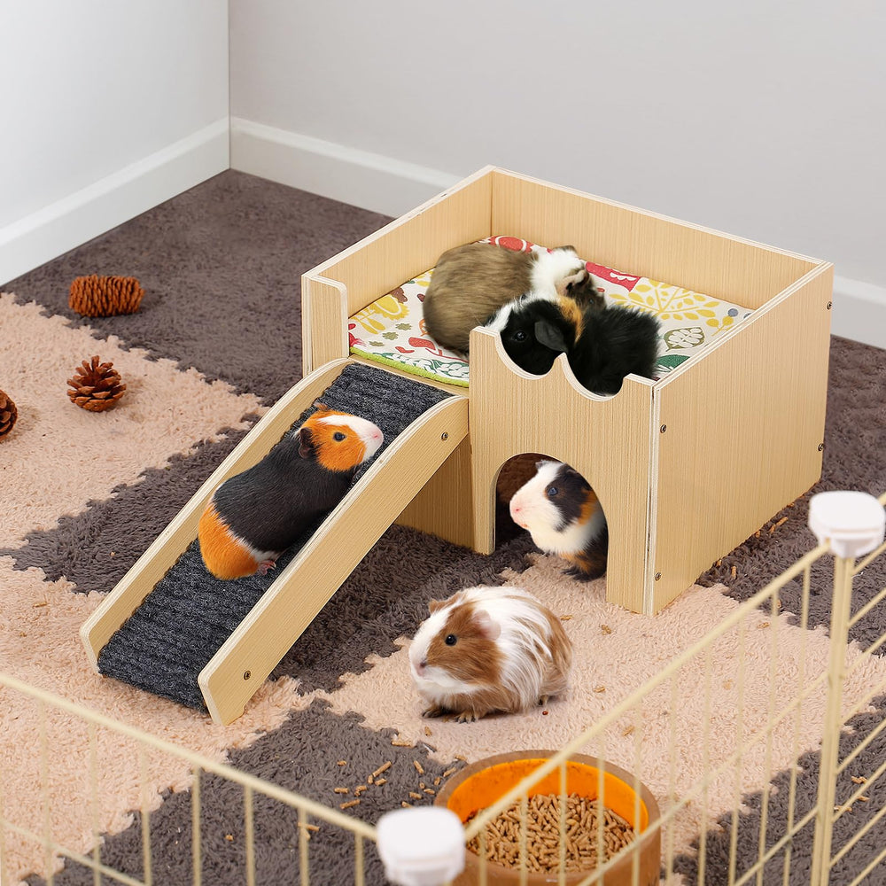MEWTOGO maison-petit-animal: cadeau idéal pour compagnons.