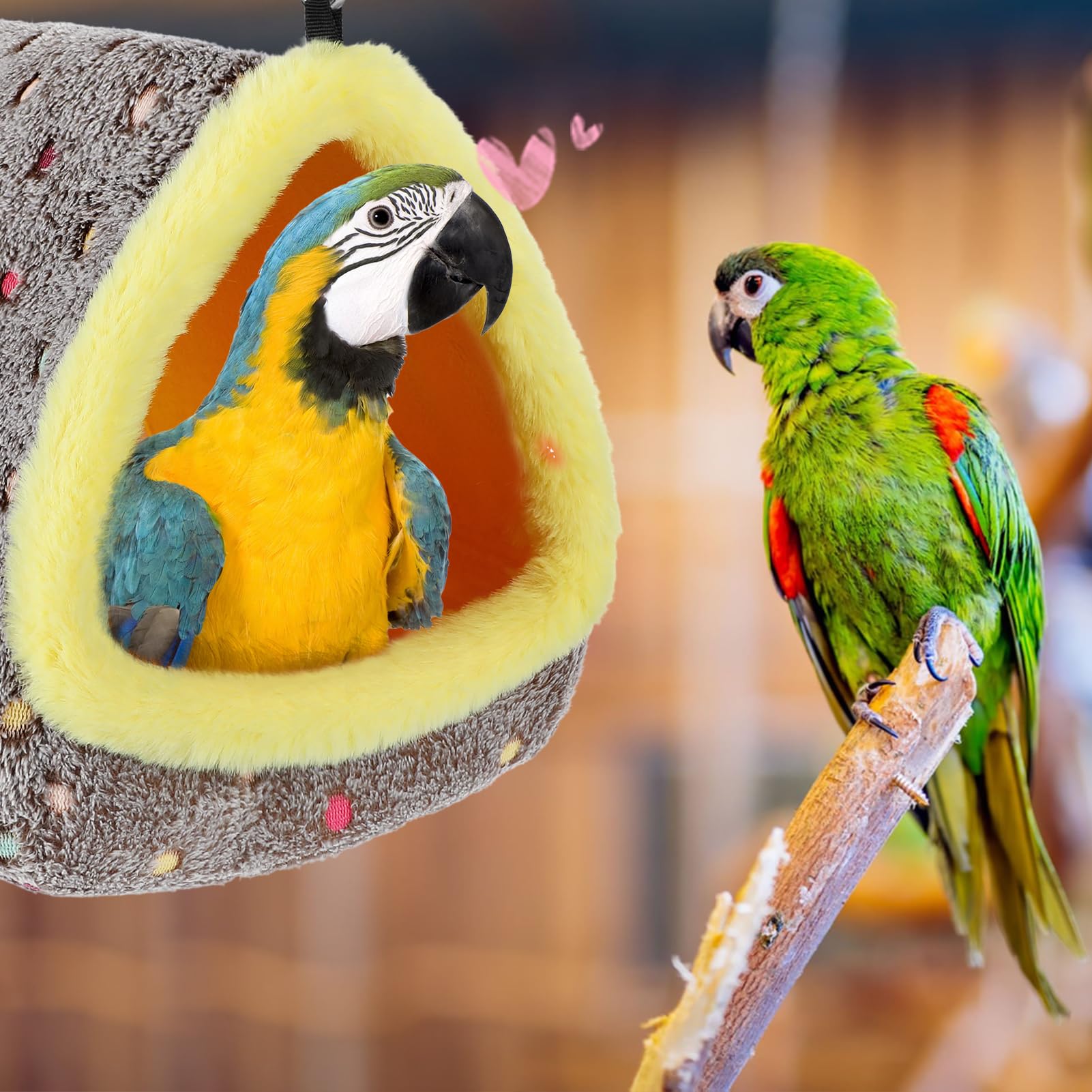Idée cadeau idéale pour passionnés d'oiseaux et perroquets.