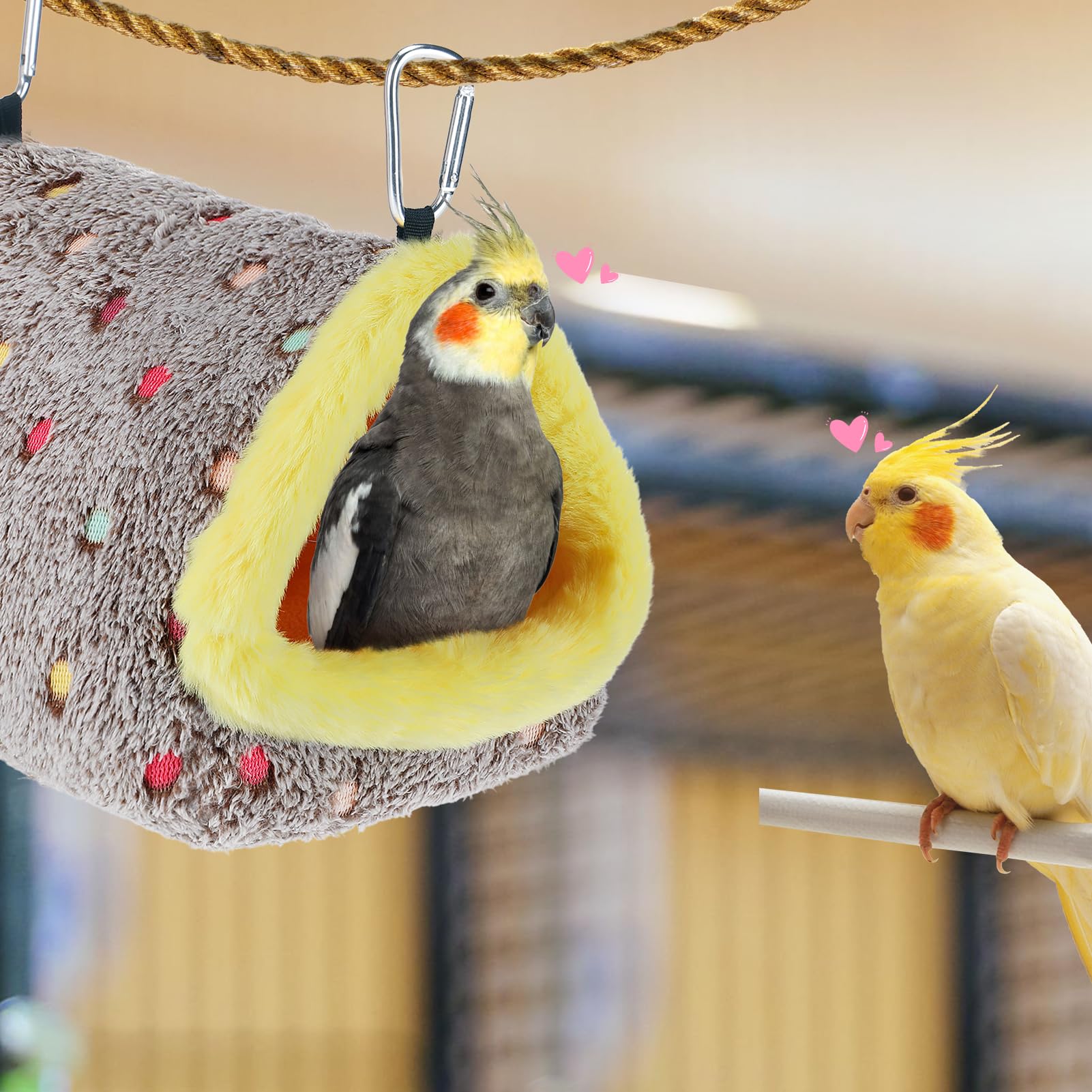 Nid MEWTOGO – idée cadeau pratique pour oiseaux.