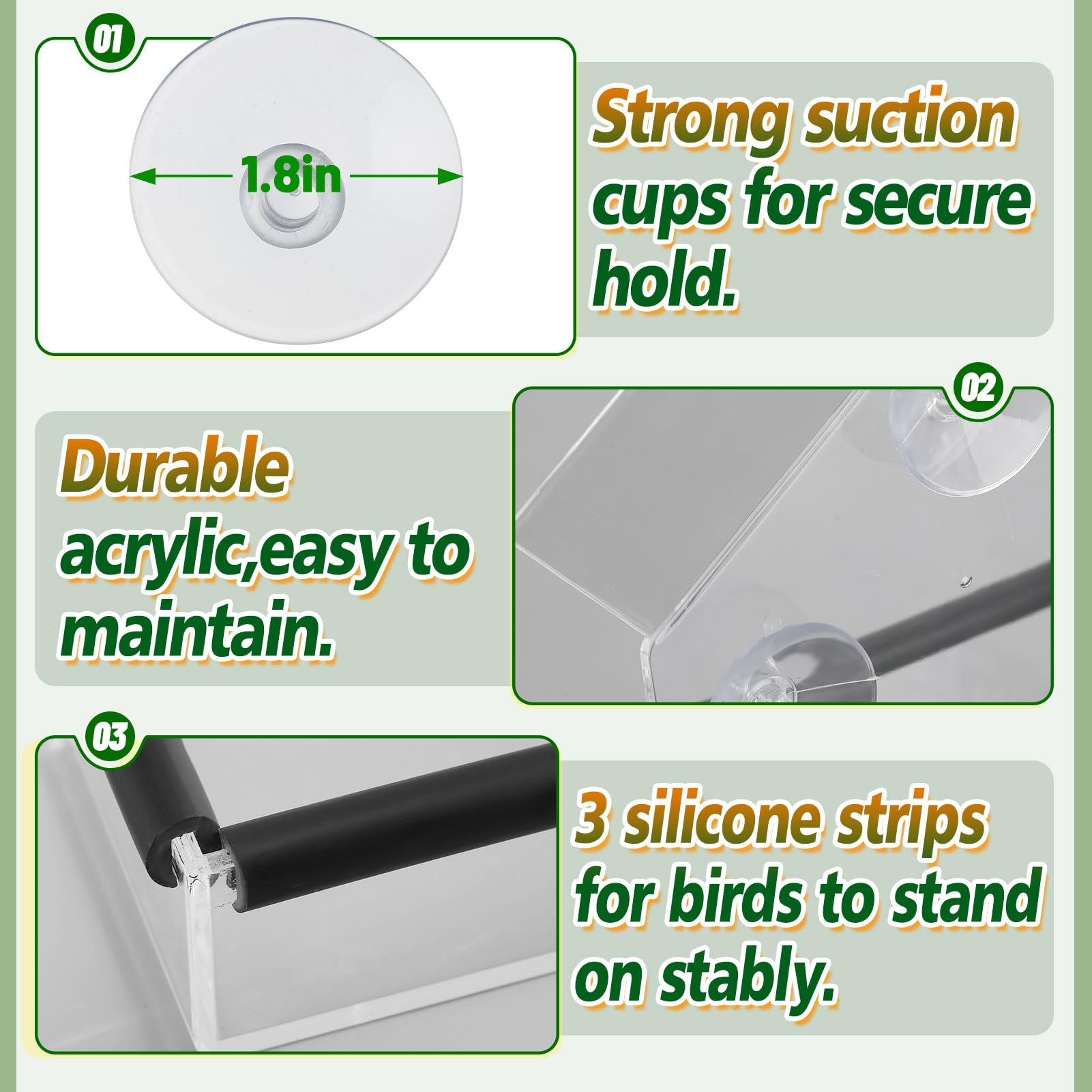 Bandes silicone MEWTOGO — maintien stable des aliments pour oiseaux