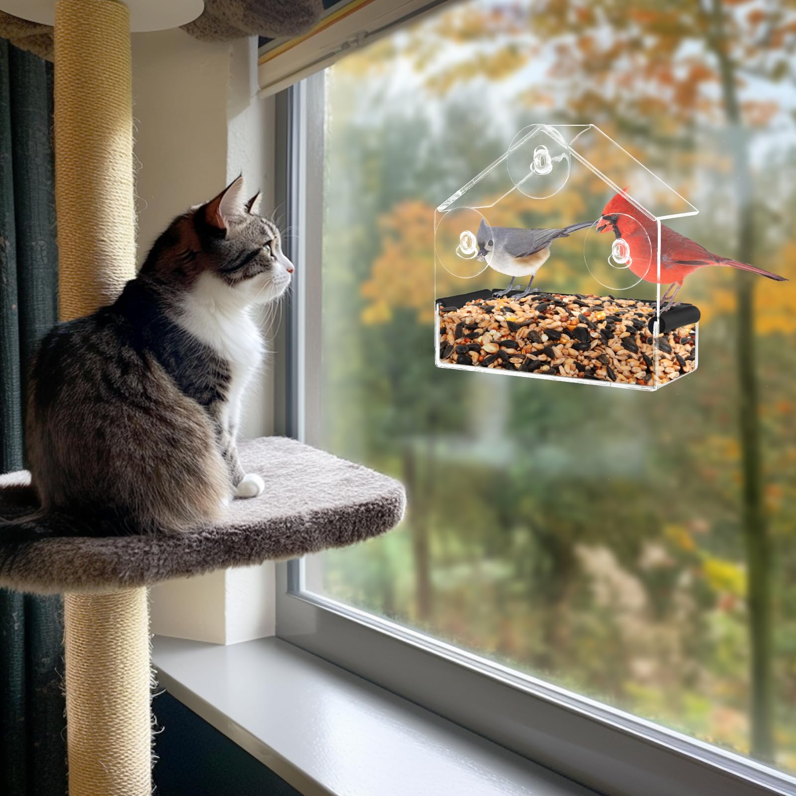 Capacité d'alimentation MEWTOGO — attire davantage d'oiseaux