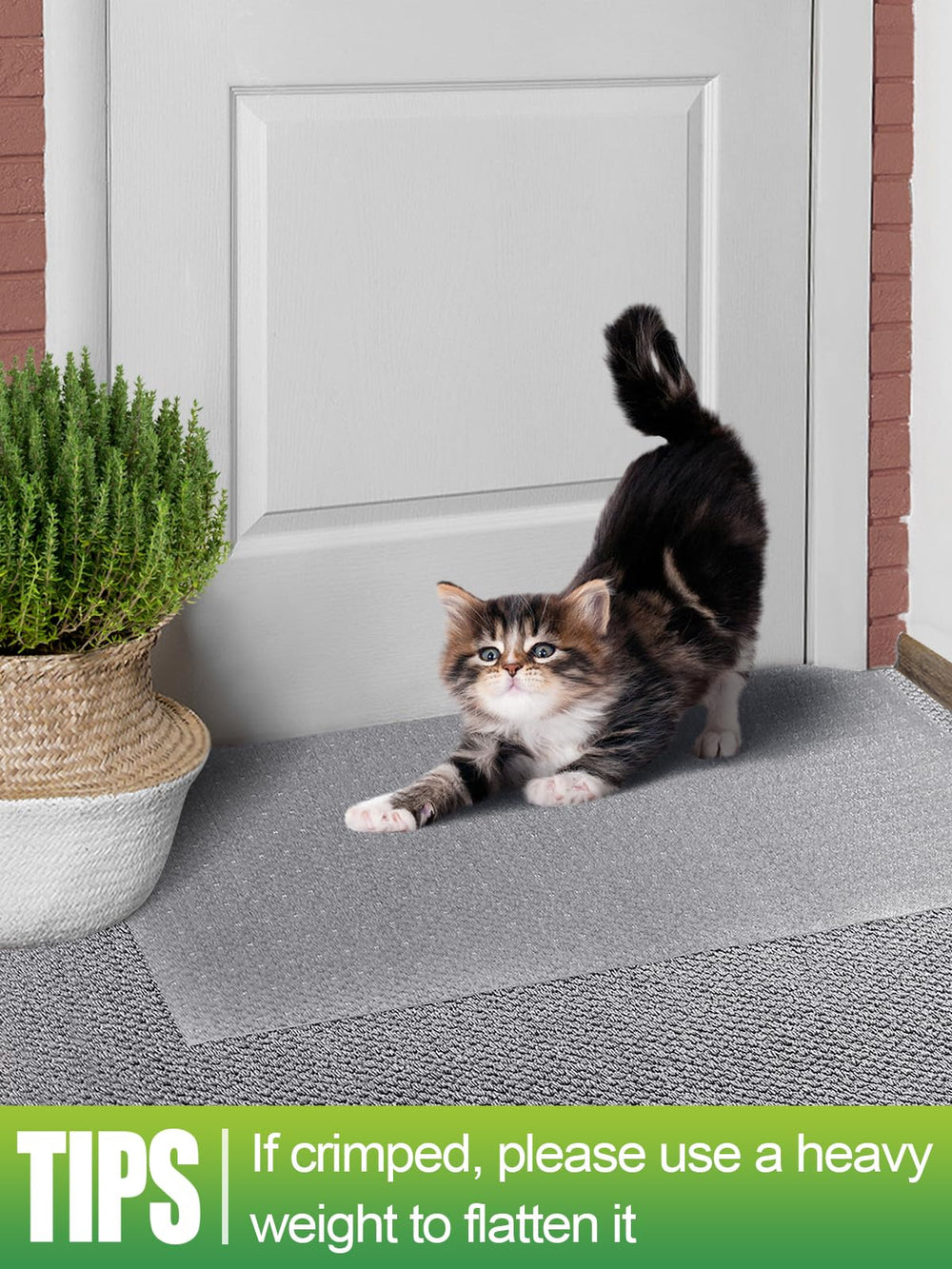 Roulez MEWTOGO prêt à poser pour installation rapide.