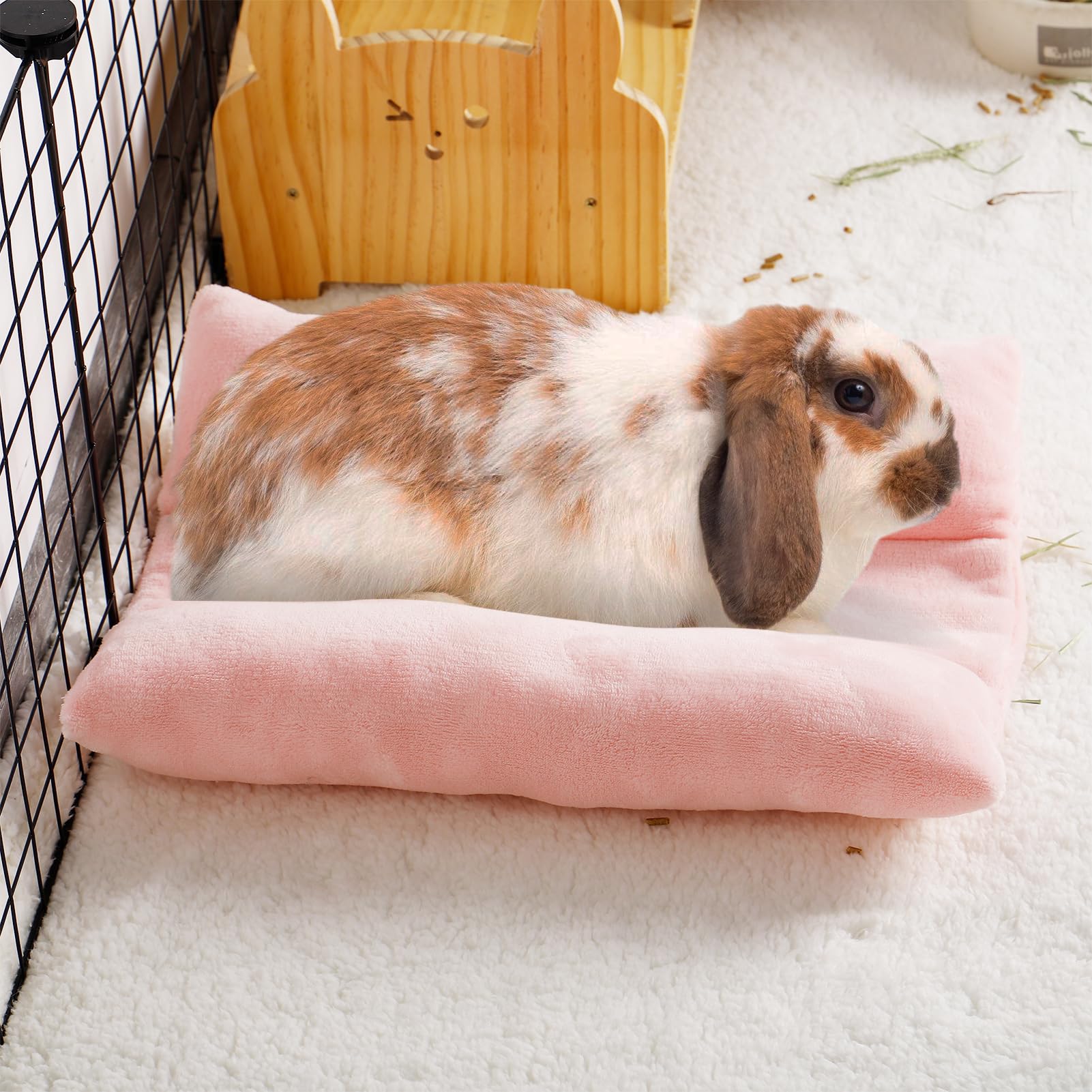 MEWTOGO utilisation en cage – espace cozy pour dormir.