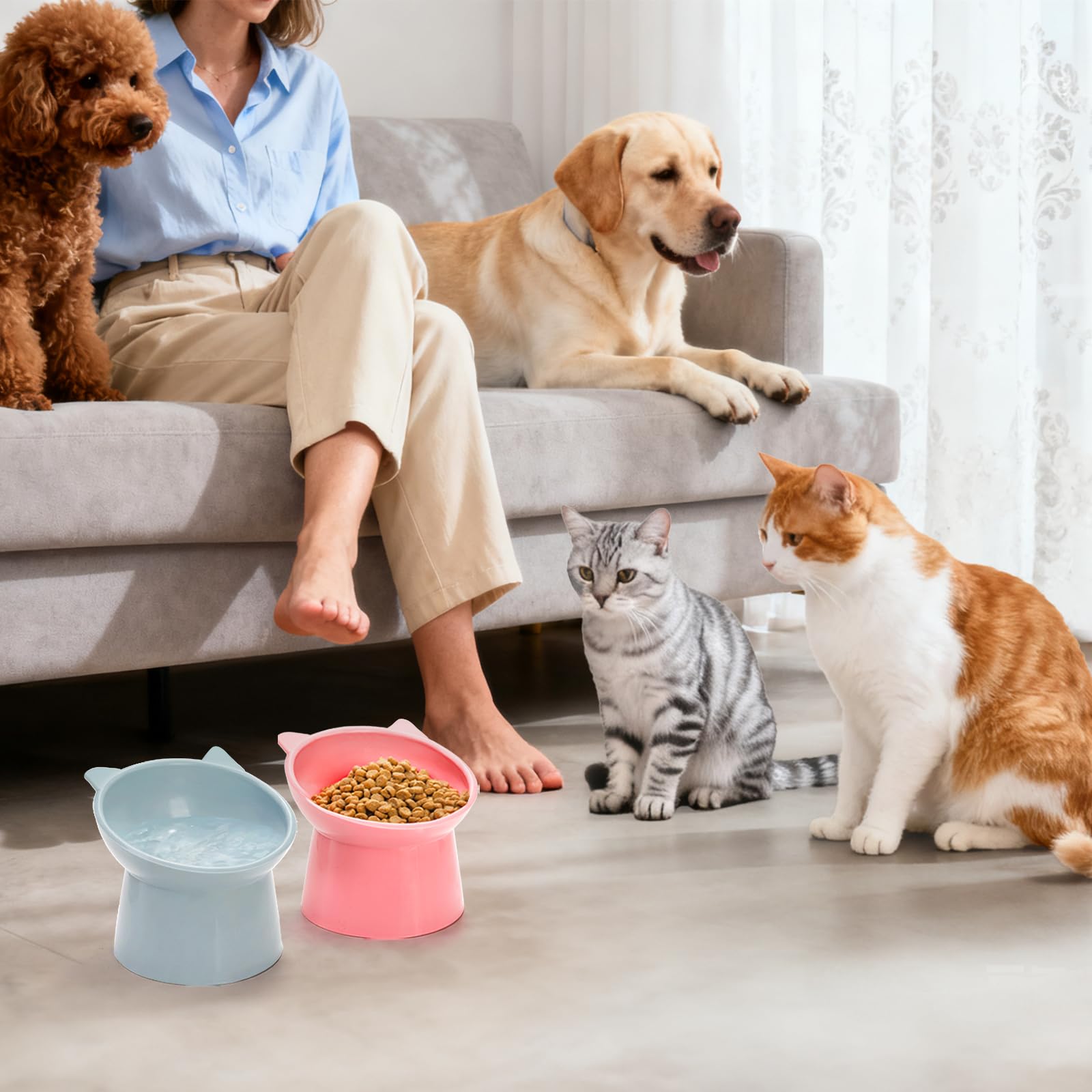 Mezchi bol anti-reflux pour chat, réduction possible des rejets