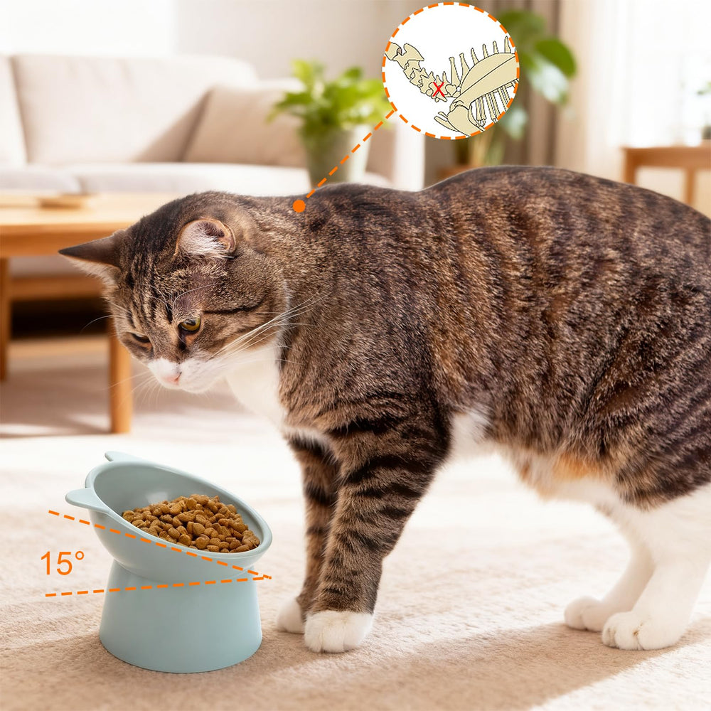 Mezchi bol élevé rose pour chat, repas plus propres