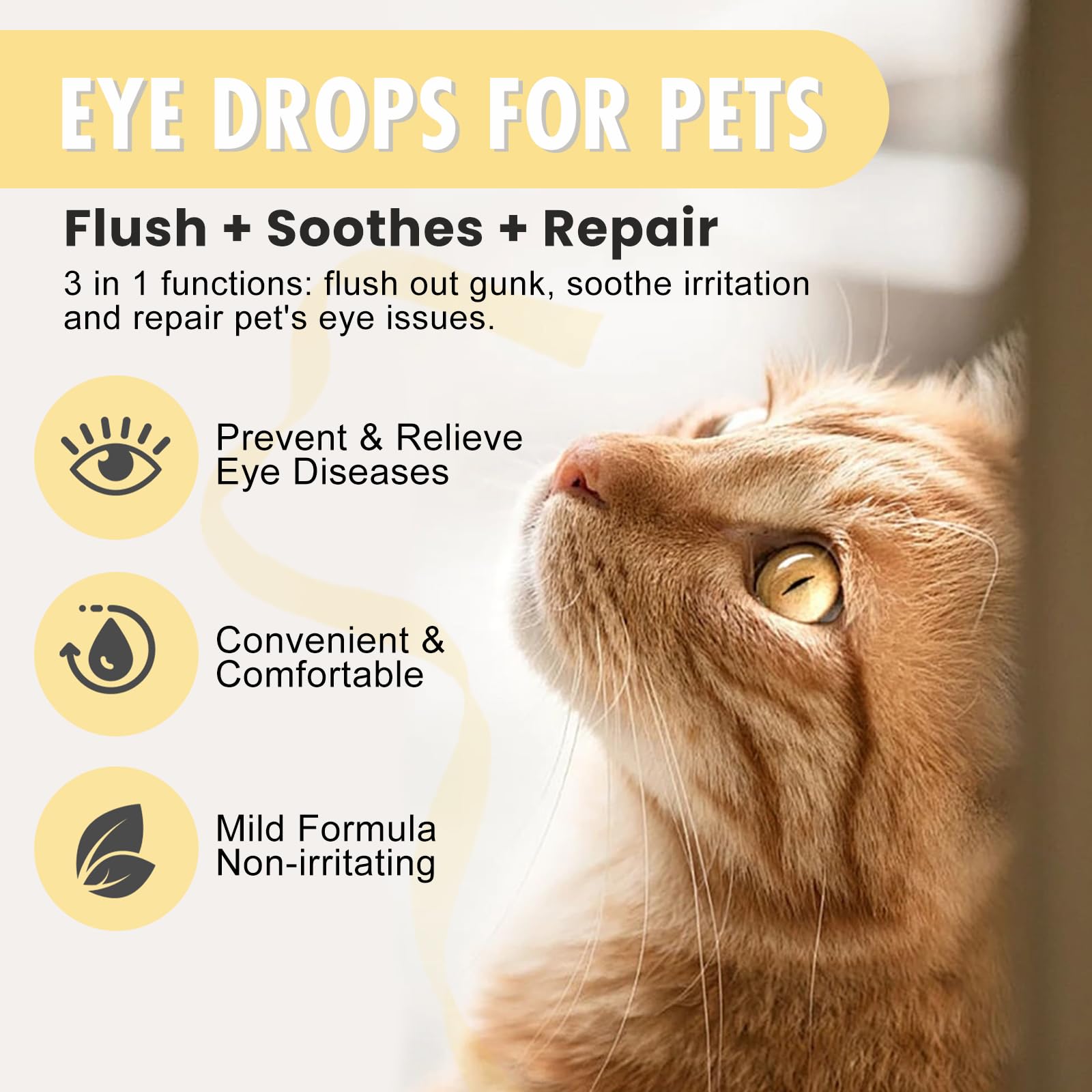 Mgviiiva gouttes yeux chien, pipette pour application précise.