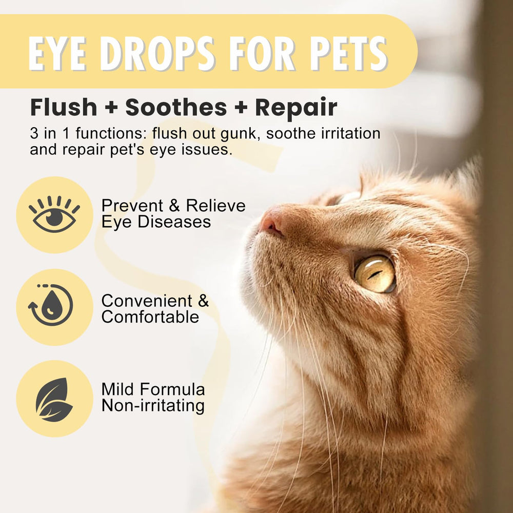 Mgviiiva gouttes yeux chien, pipette pour application précise.