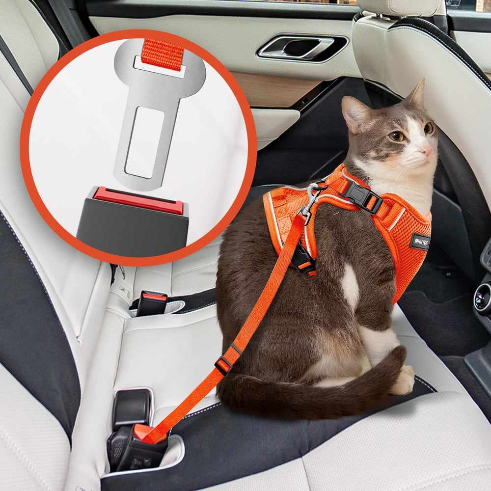 Laisse chat MHHYQF douce et légère pour promenades quotidiennes