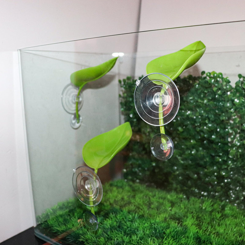 MHLLGN décor polyvalent terrarium pour grenouilles et petits reptiles.