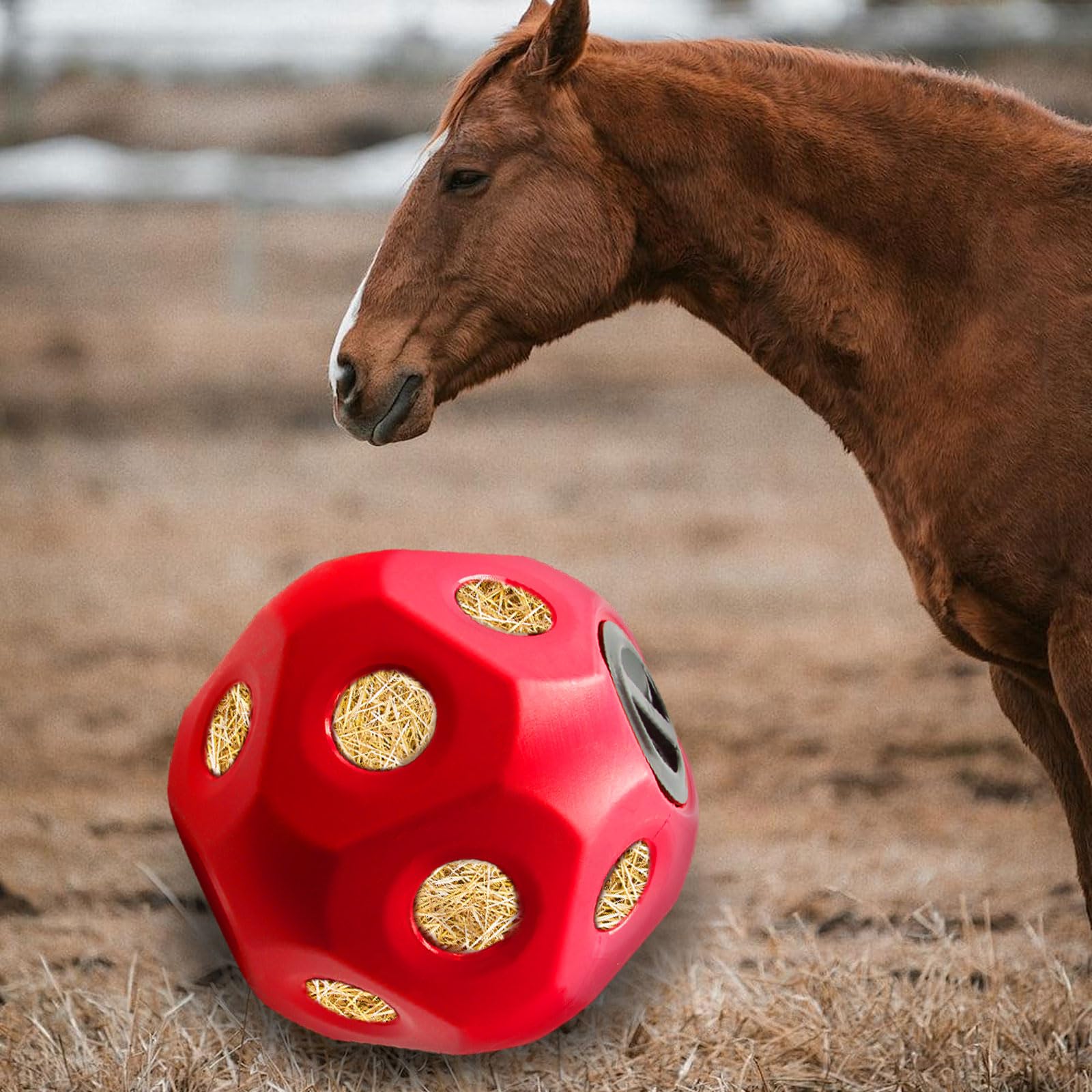 MHLLGN divertissement anti-ennui pour chevaux grâce à une aventure de foin.