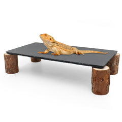 MHLLGN dragon-barbu plateforme-soleil: espace de chaleur idéal pour le dragon barbu.