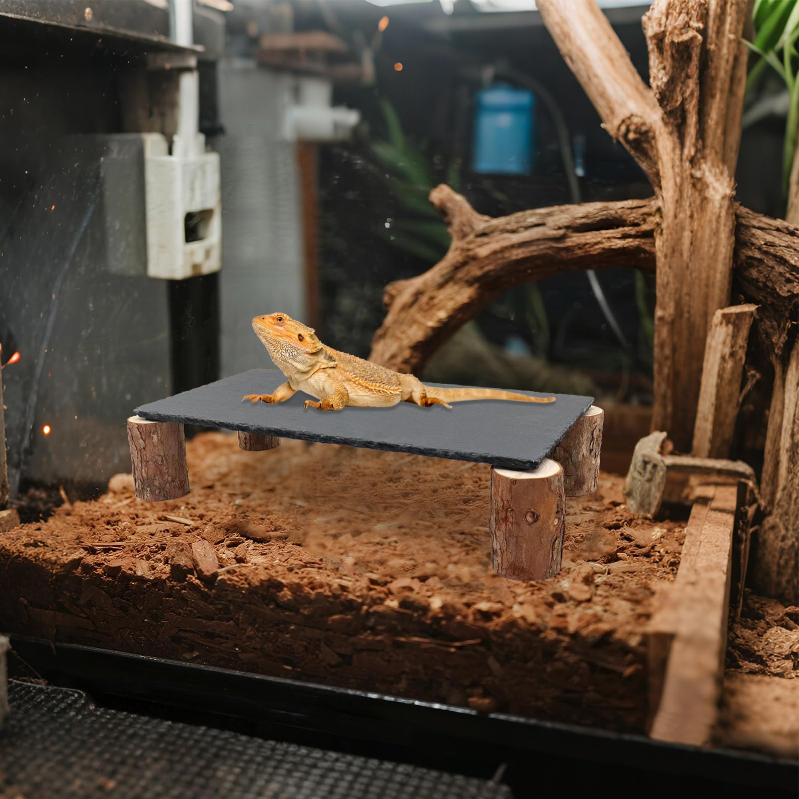 MHLLGN plateforme-habitat-reptiles-polyvalente: convient dragon barbu, geckos et tortues.