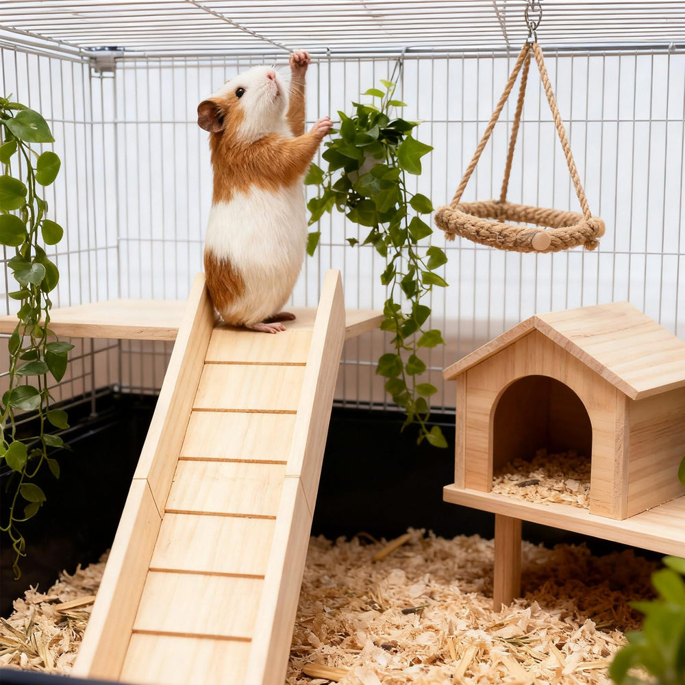 MHLLGN rampe bois chinchilla : robuste et sûre pour des sessions d’escalade quotidiennes.