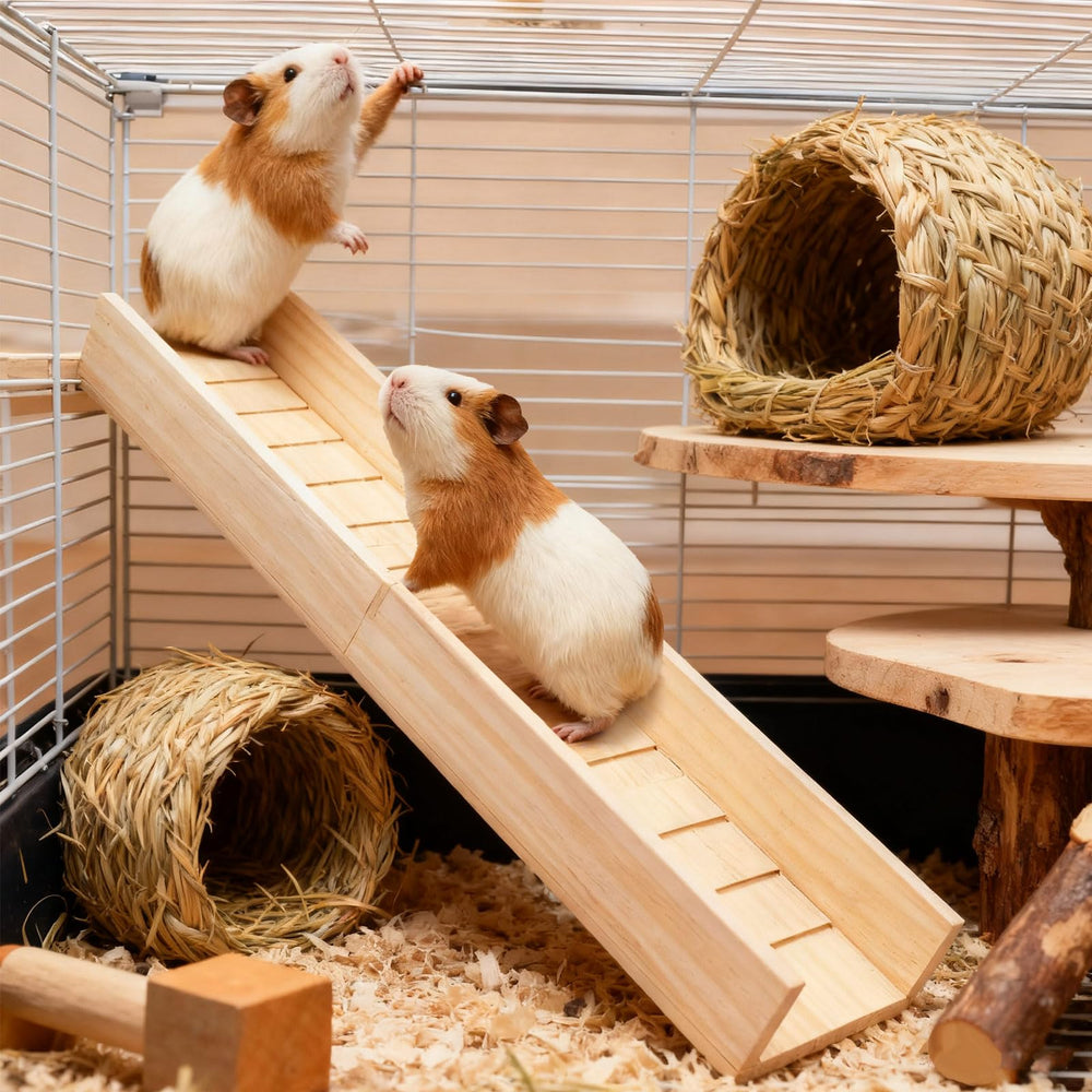 MHLLGN rampe bois pour écureuil : encourage mouvement et enrichment.