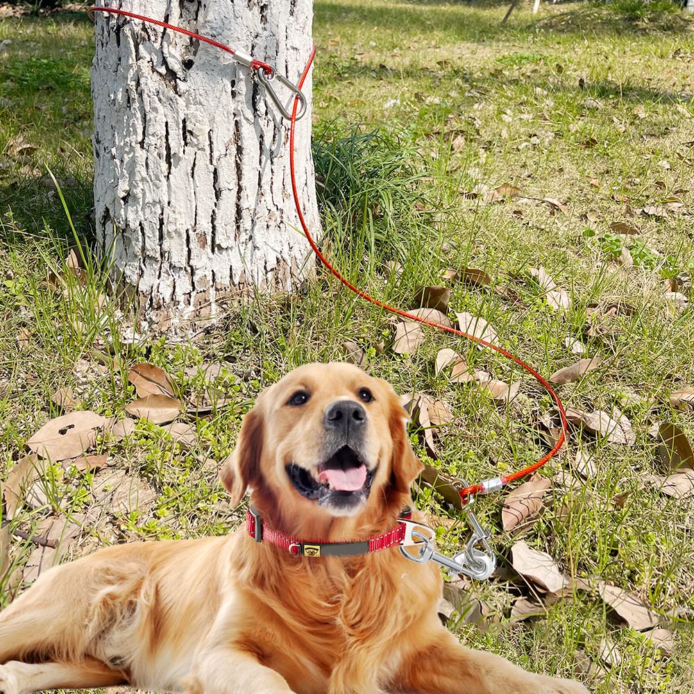 Mi Metty Laisse en couleurs classiques pour un style élégant