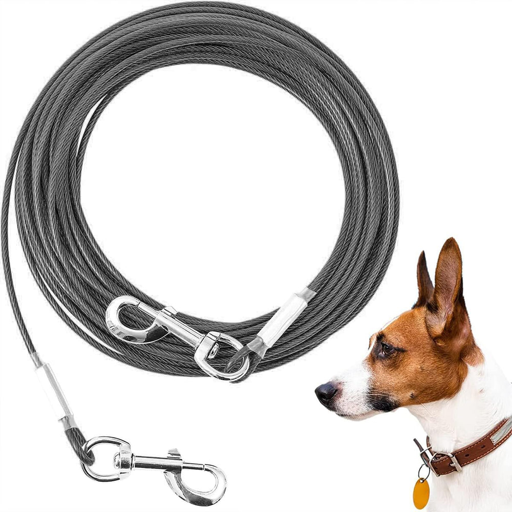 Mi Metty câble d’attache 125 lbs, robuste pour chiens actifs en plein air.