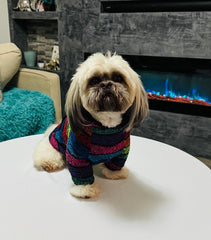 MI PONCHITO anneau-laisse intégré pour promenade sans gêne.