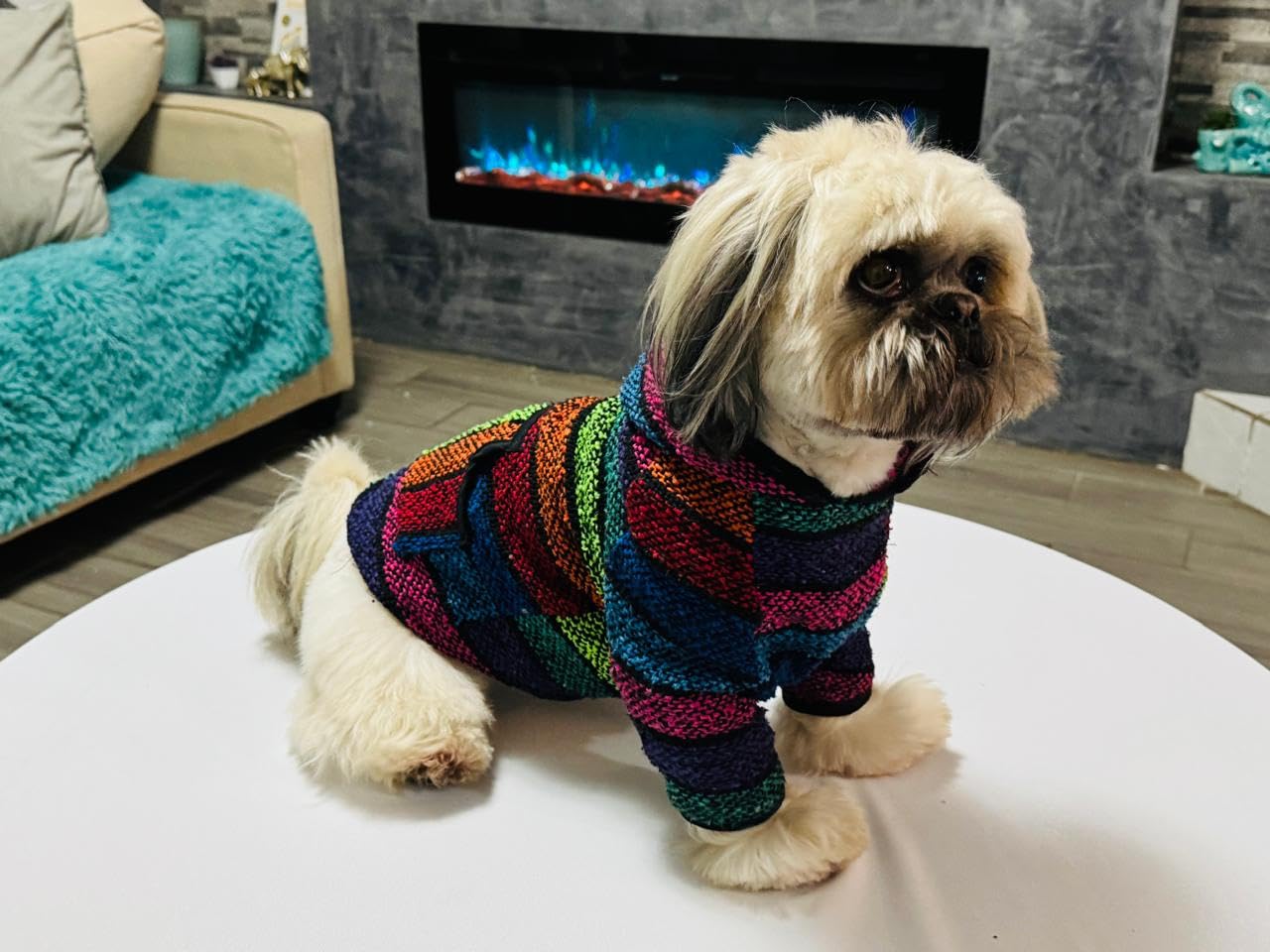 MI PONCHITO: sweat chien ajusté, style élégant et confort longue durée.