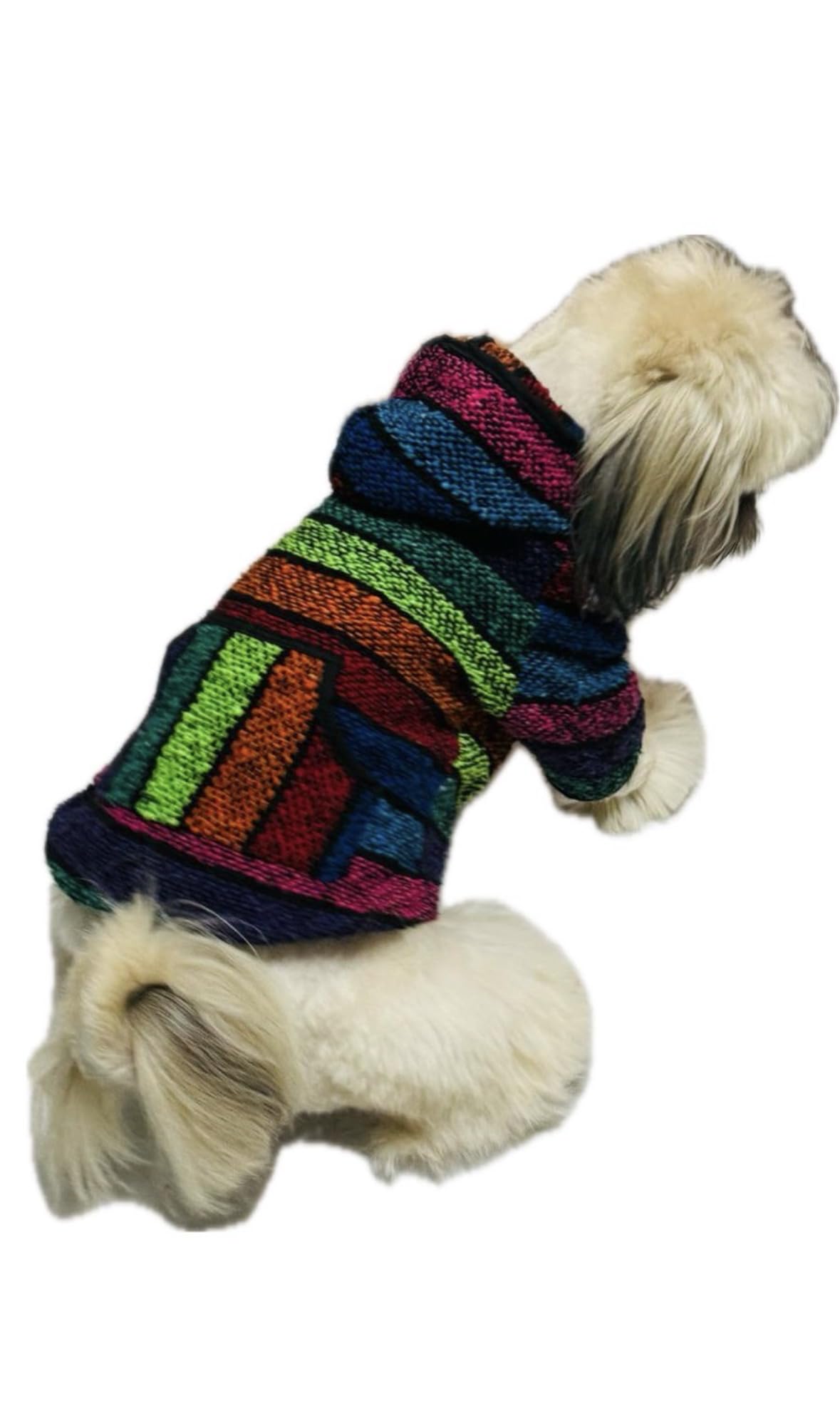 MI PONCHITO veste chien jerga mexicaine authentique, chaude et unique pour sorties hivernales.