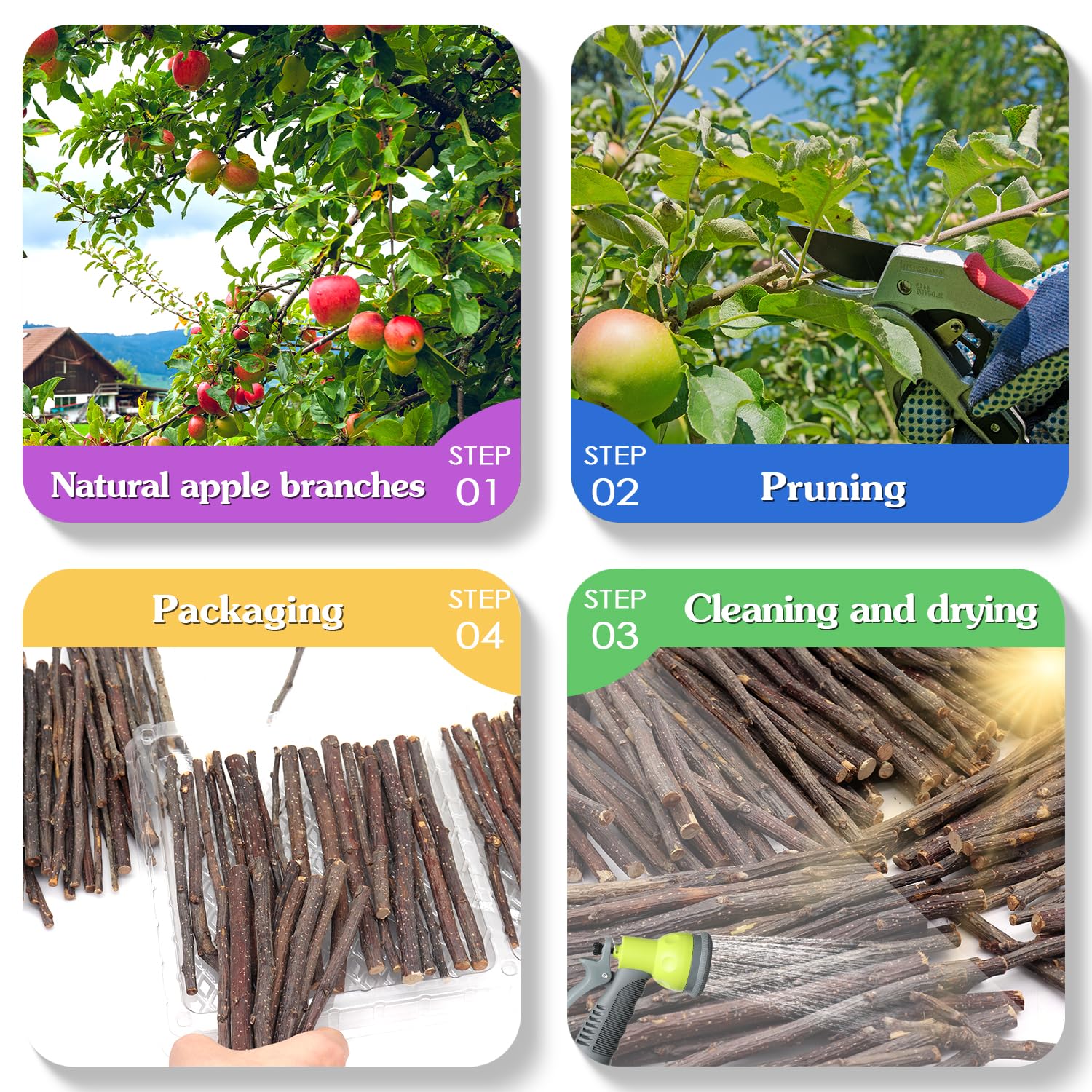 MIALEXO bâton pomme arôme naturel pour mâcher agréable.