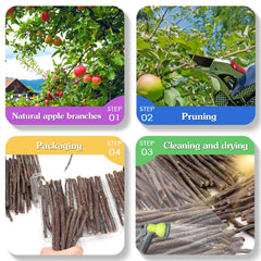 MIALEXO bâton pomme arôme naturel pour mâcher agréable.
