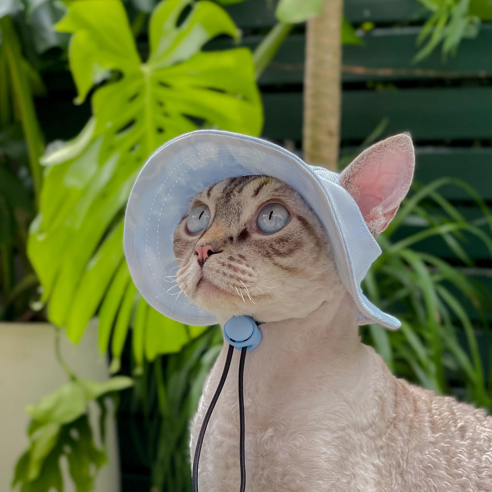 MIANHUATANG accessoire été chien, facile à nettoyer et durable