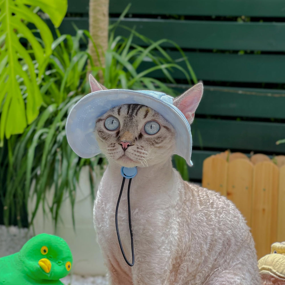 MIANHUATANG chapeau été pour chat et chien, bleu moyen