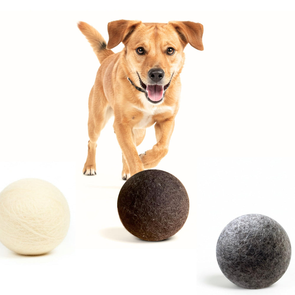 Balle Miao et Woof, usage intérieur et extérieur, sécurité pour mordilage.