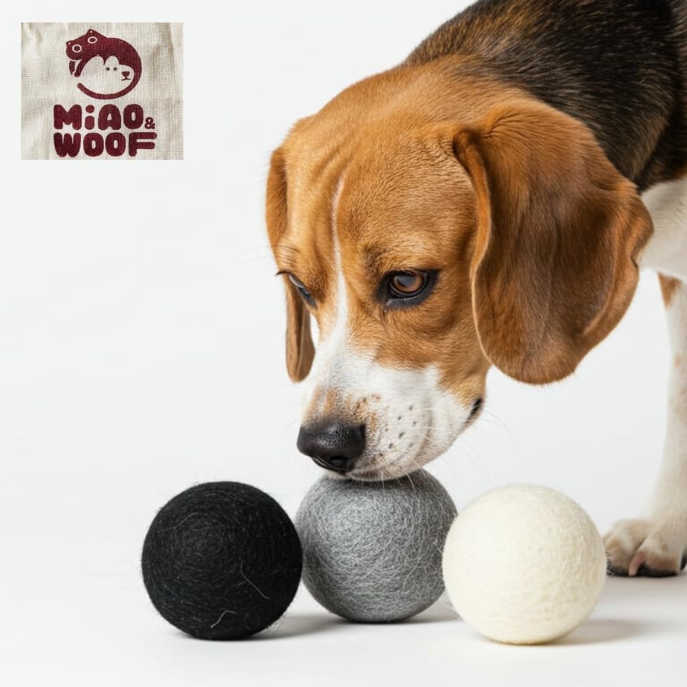 Balle feutrée Miao et Woof, douceur et durabilité, balles-en-laine-pour-chien.