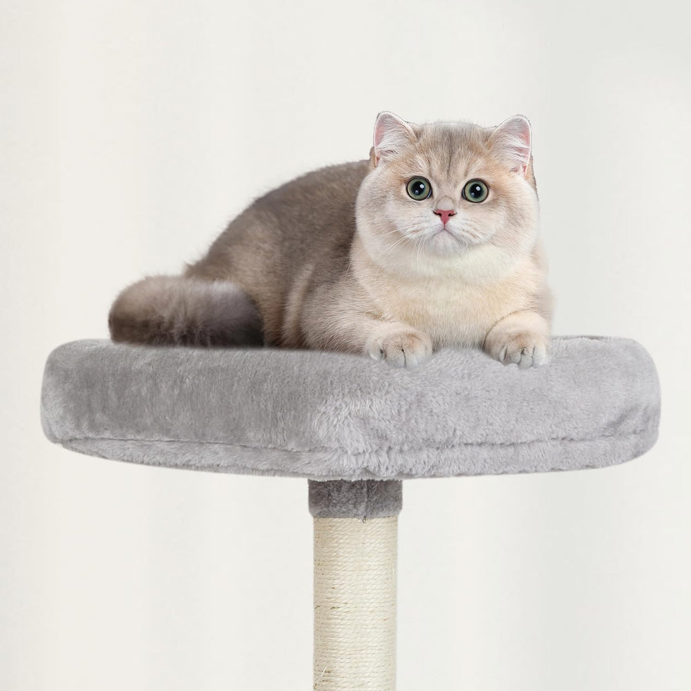MIAO PAW Arbre chat gris pelage doux et surface de repos confortable.