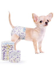MICOOYO couches jetables chien femelle XS — confort et ajustement précis