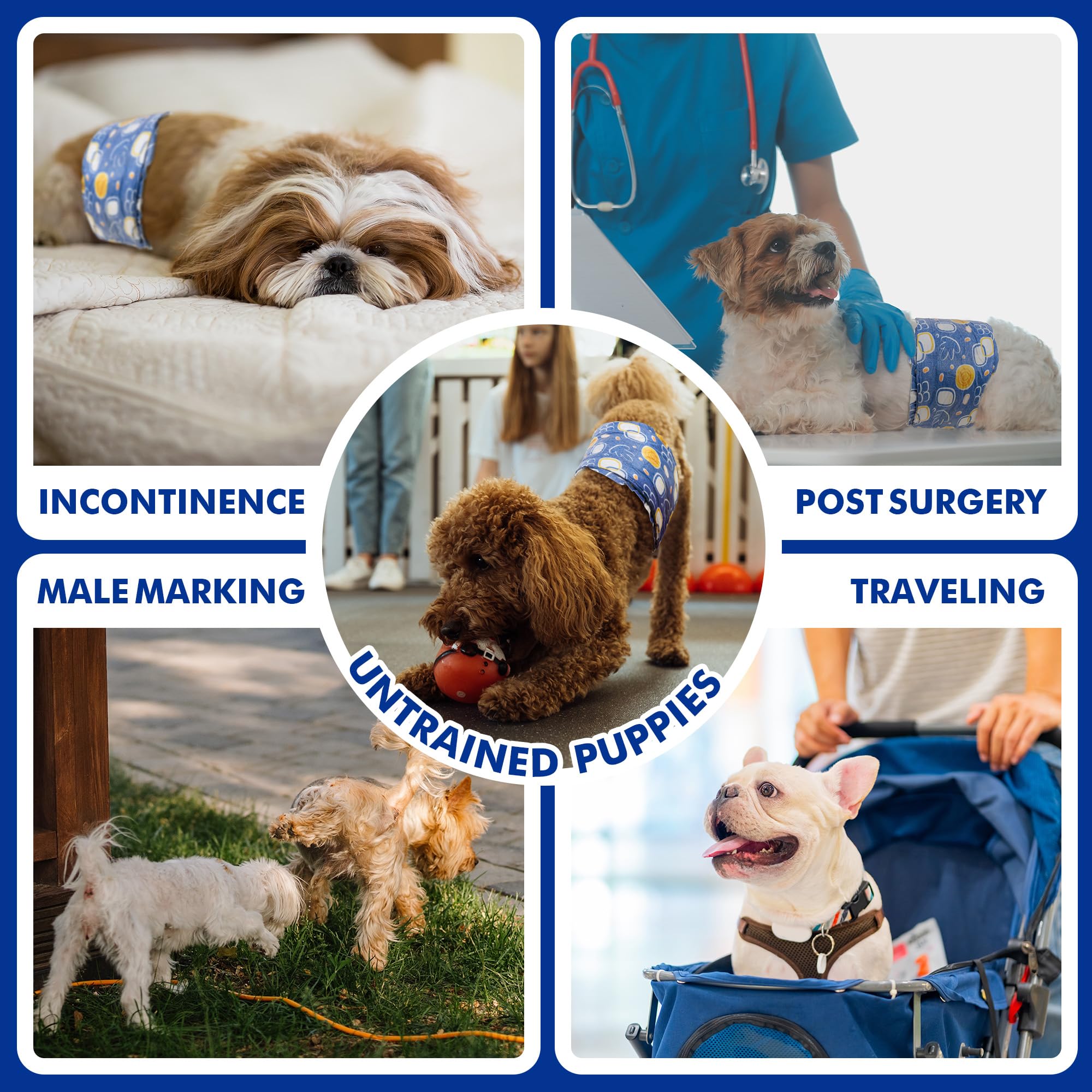 MICOOYO taille-xs-6-13-pouces: ajustement précis pour petits chiens