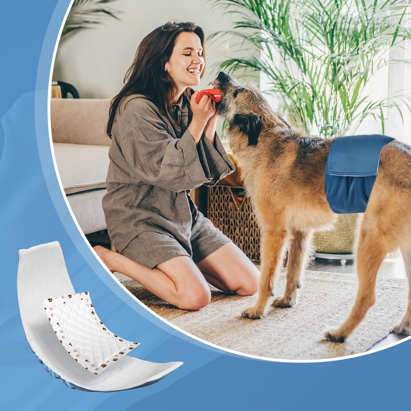 MICOOYO compatibilité mâle-femelle chien pour toutes morphologies