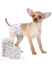 Couches MICOOYO pour chien femelle petite, ouverture queue en mousse et ajustement sûr.
