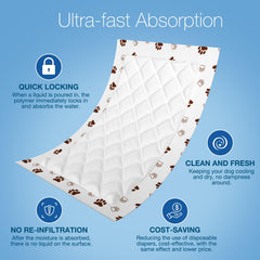 MICOOYO galettes absorbantes chien, meilleure absorption et tenue