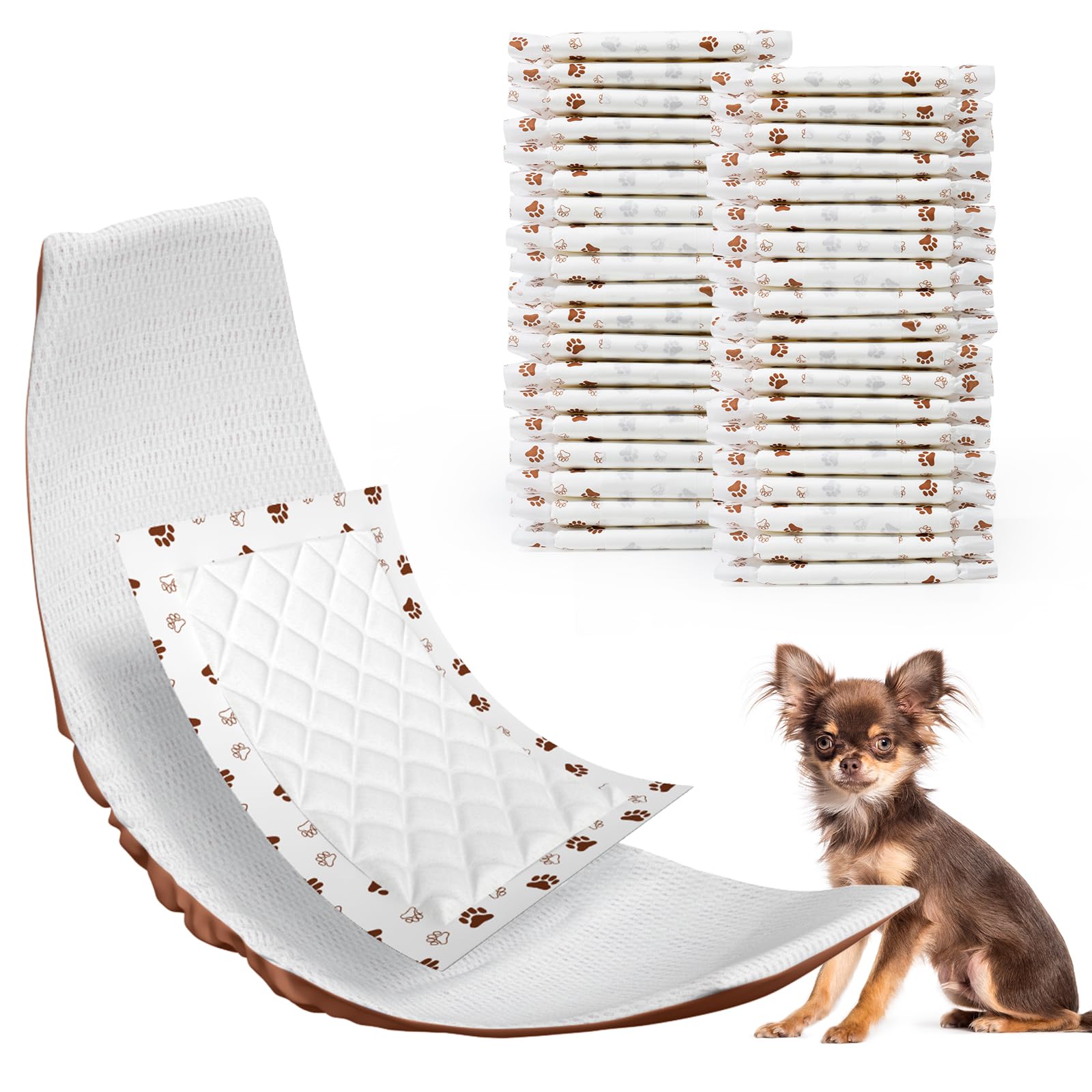 MICOOYO protections absorbantes pour chien XS pour éviter les fuites nocturnes