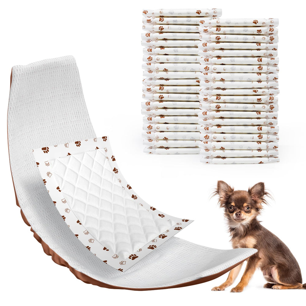 MICOOYO protections absorbantes pour chien XS pour éviter les fuites nocturnes