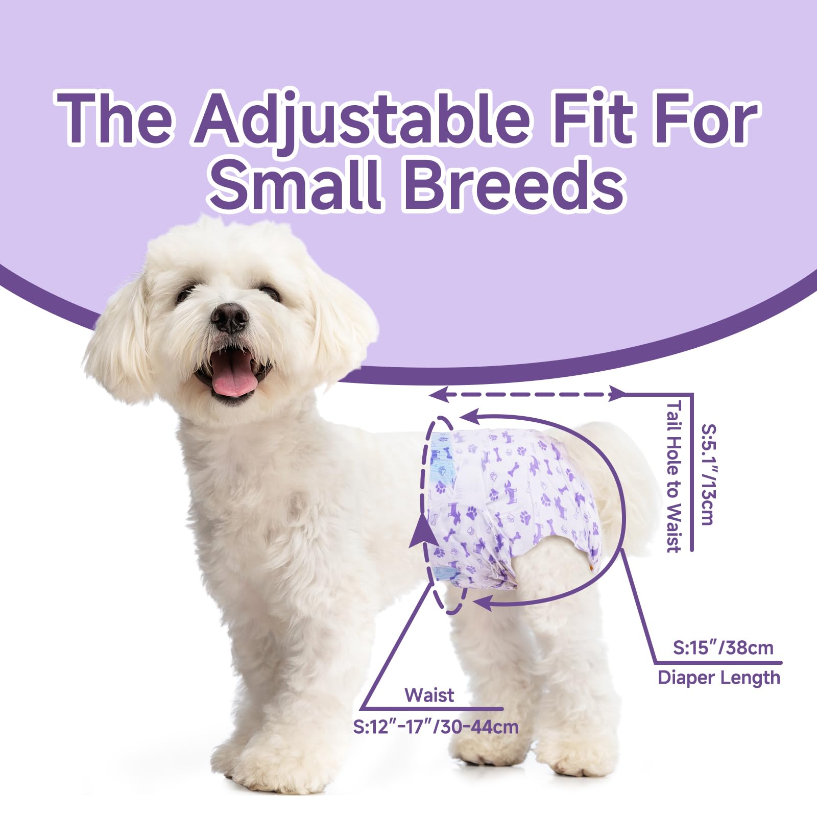 MICOOYO solution après chirurgie ou maladie pour votre chien.