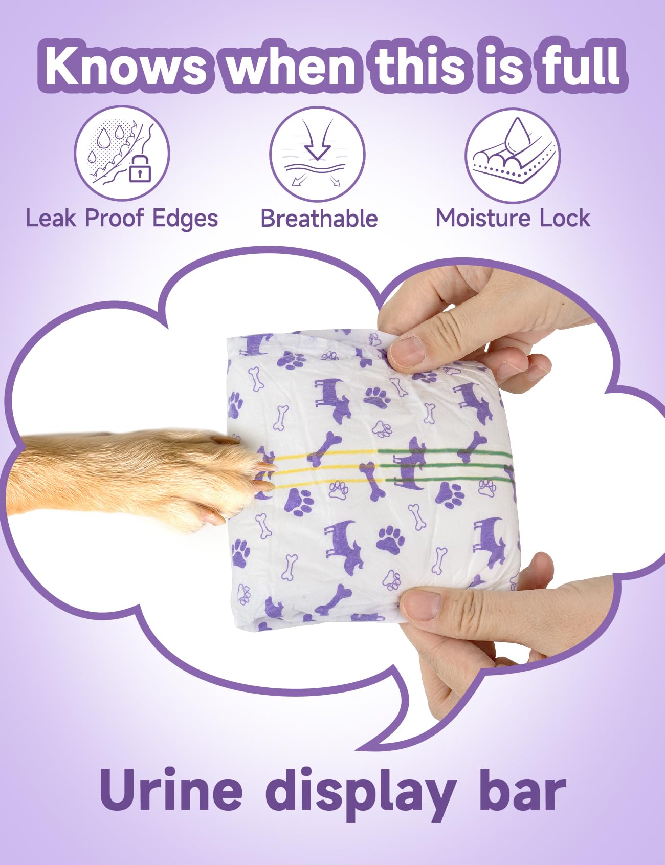 MICOOYO utilisation polyvalente pour incontinence et chaleur chez le chien.
