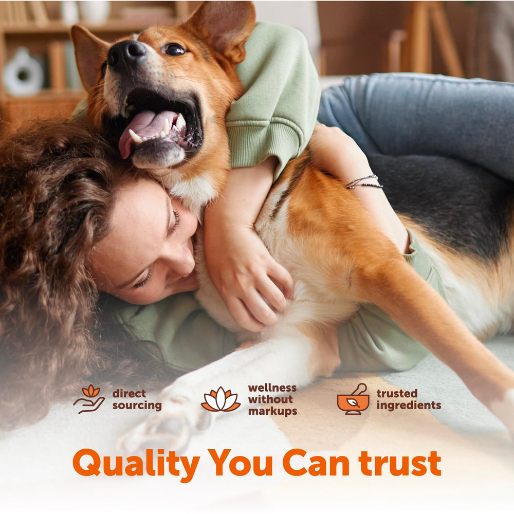 Soutien des articulations canin grâce à la moule verte et au curcuma.
