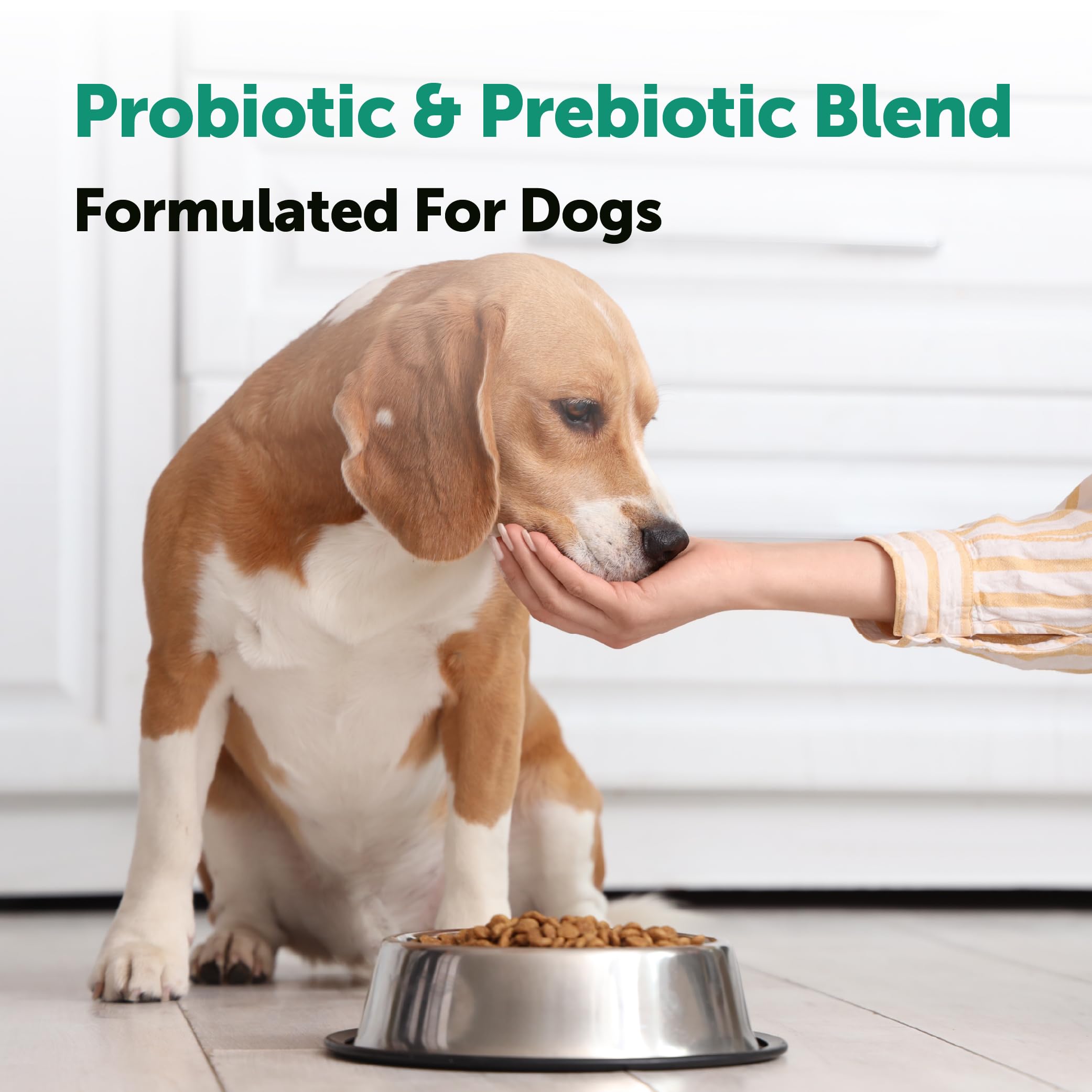 Micro Ingredients Probiotiques chien : enzymes digestives pour aider la digestion.