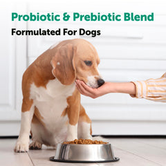 Micro Ingredients Probiotiques chien : enzymes digestives pour aider la digestion.