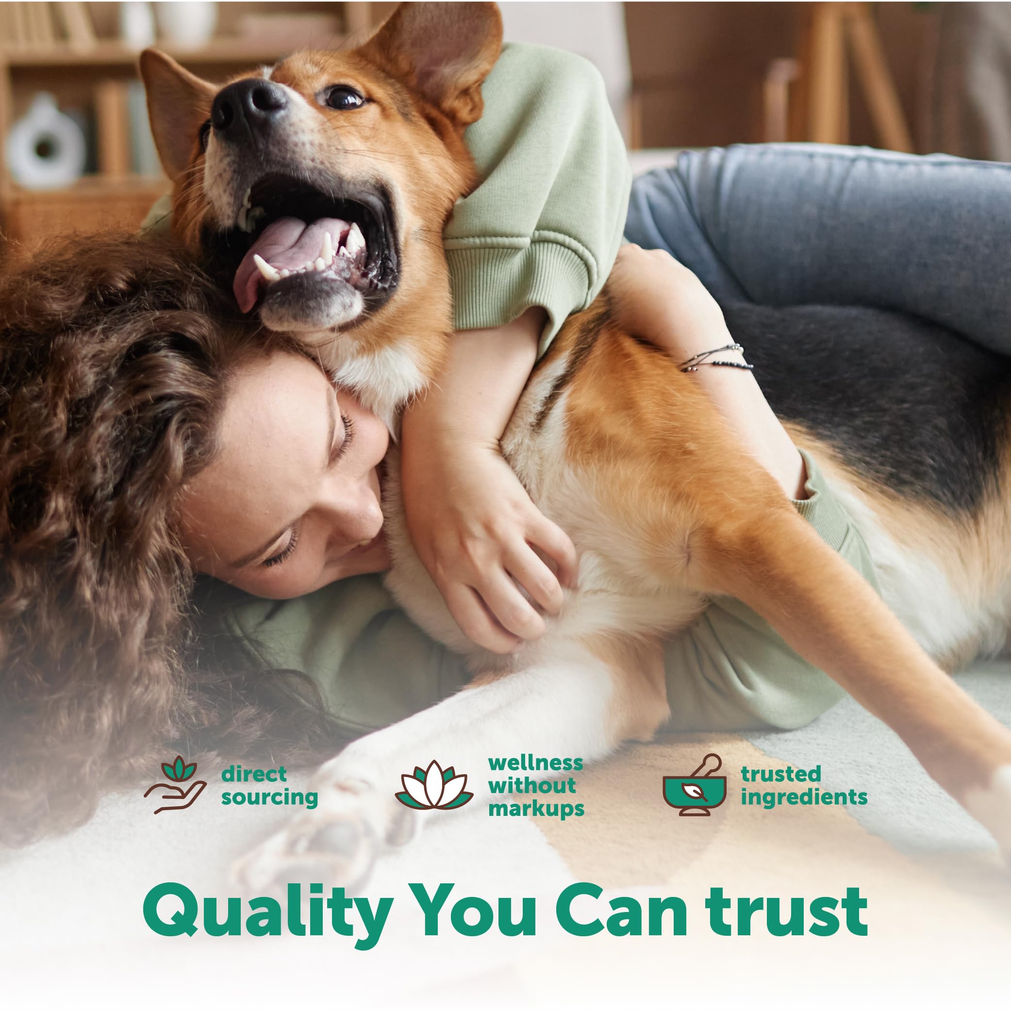 Micro Ingredients chien : poudre citrouille dans les gommes, soutien digestif.