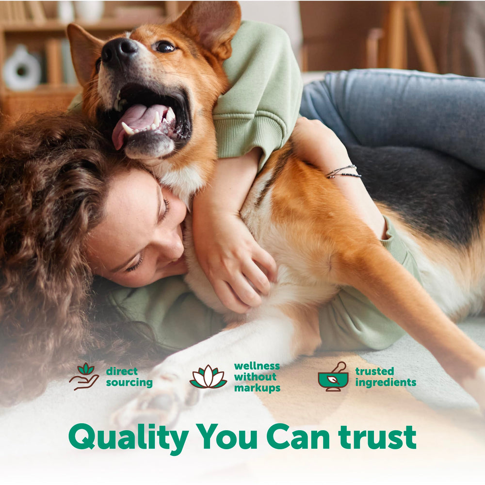 Micro Ingredients chien : poudre citrouille dans les gommes, soutien digestif.