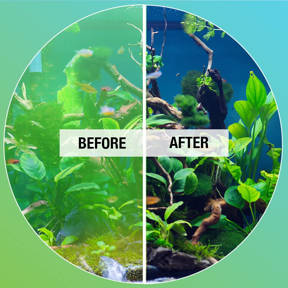Algaway 5.4 compatible poissons et plantes dans l’aquarium